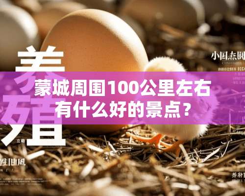 蒙城周围100公里左右有什么好的景点？