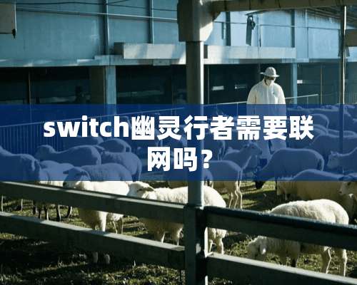 switch幽灵行者需要联网吗？