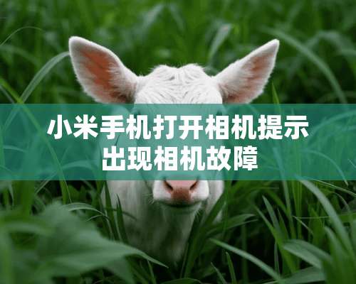 小米手机打开相机提示出现相机故障