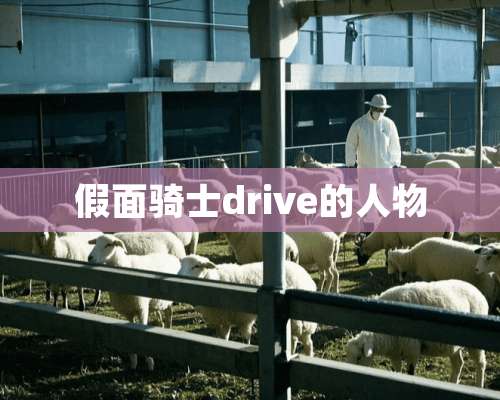 假面骑士drive的人物