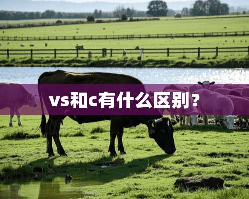 vs和c有什么区别？