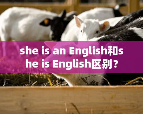 she is an English和she is English区别？