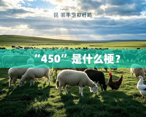 “450”是什么梗？