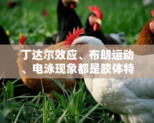 丁达尔效应、布朗运动、电泳现象都是胶体特有的性质吗？