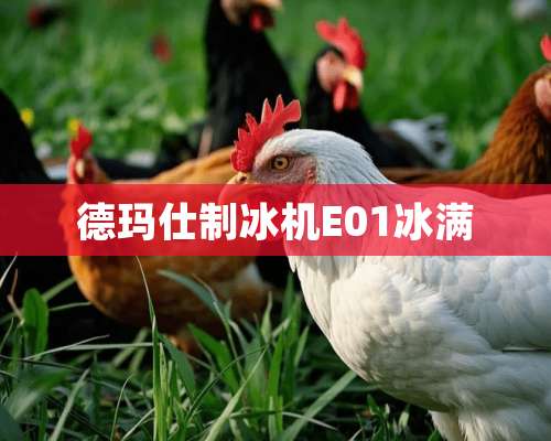 德玛仕制冰机E01冰满