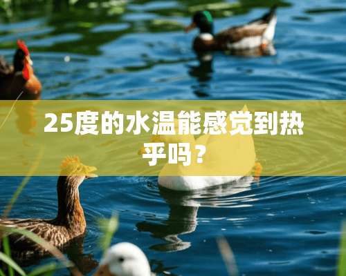 25度的水温能感觉到热乎吗？