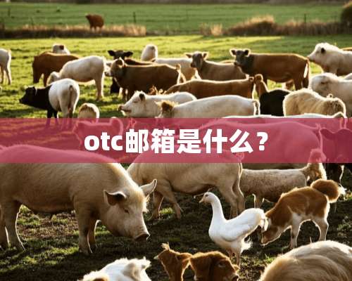 otc邮箱是什么？