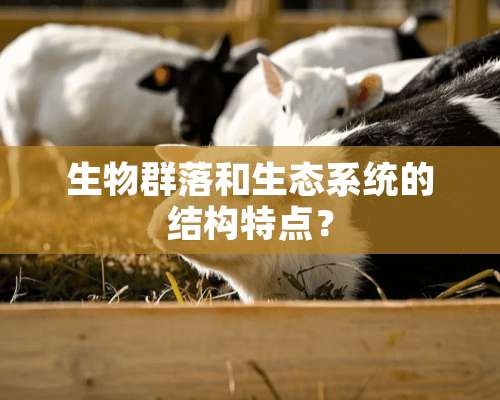 生物群落和生态系统的结构特点？