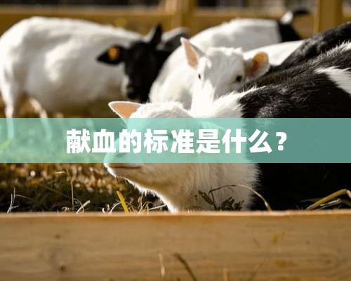 献血的标准是什么？