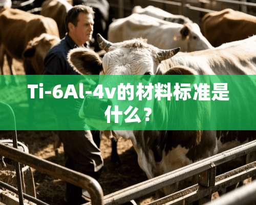 Ti-6Al-4v的材料标准是什么？