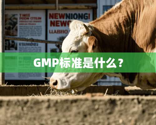 GMP标准是什么？