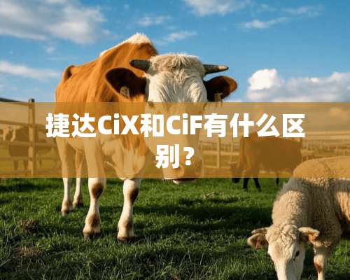 捷达CiX和CiF有什么区别？