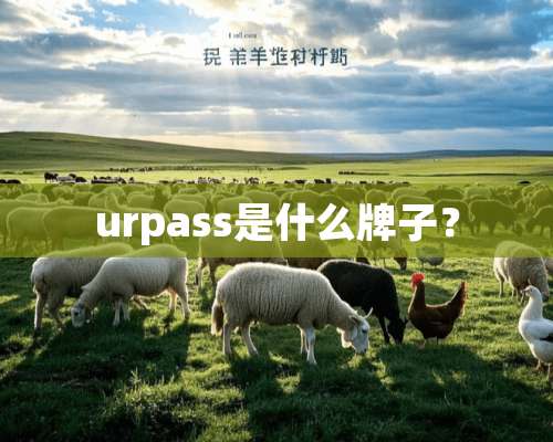 urpass是什么牌子？