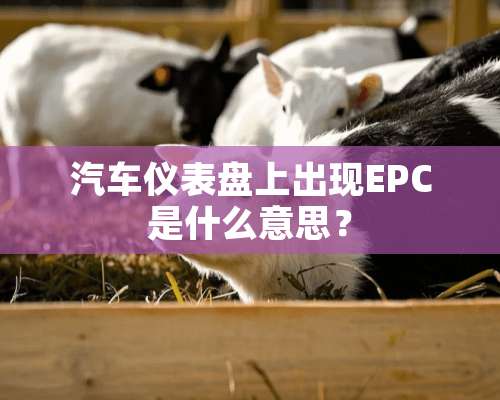 汽车仪表盘上出现EPC是什么意思？