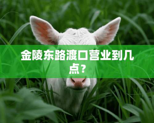 金陵东路渡口营业到几点？