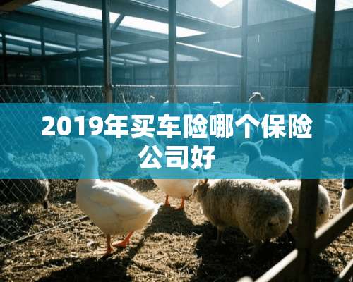 2019年买车险哪个保险公司好