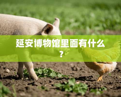 延安博物馆里面有什么？