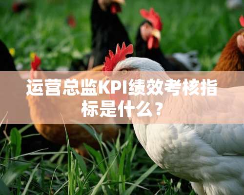 运营总监KPI绩效考核指标是什么？