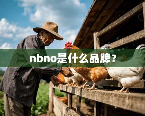 nbno是什么品牌？