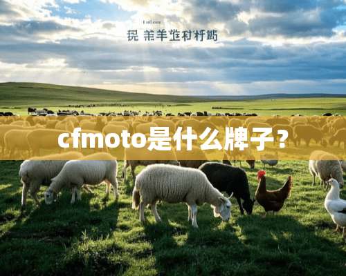 cfmoto是什么牌子？