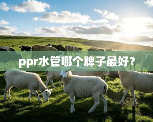 ppr水管哪个牌子最好？