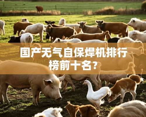 国产无气自保焊机排行榜前十名？