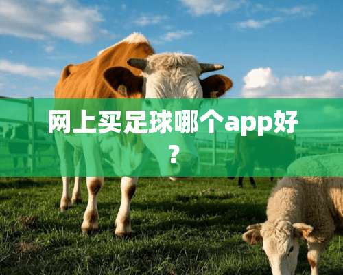 网上买足球哪个app好？