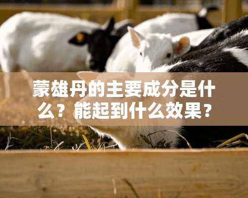 蒙雄丹的主要成分是什么？能起到什么效果？