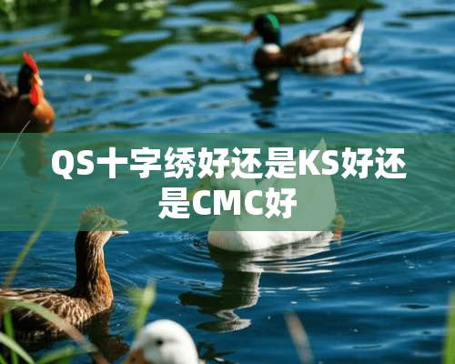 QS十字绣好还是KS好还是CMC好