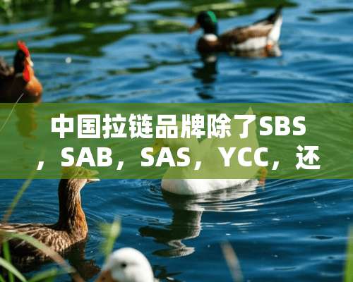 中国拉链品牌除了SBS，SAB，SAS，YCC，还有哪些品牌？