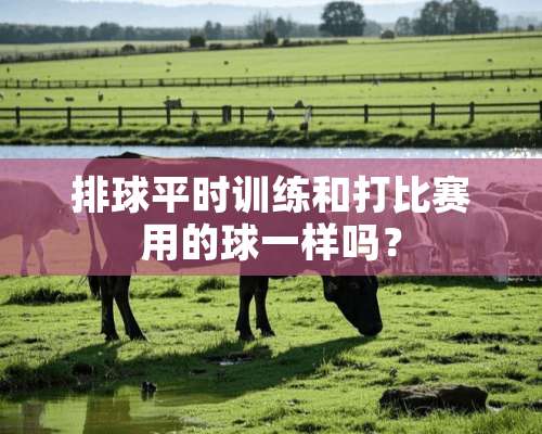 排球平时训练和打比赛用的球一样吗？