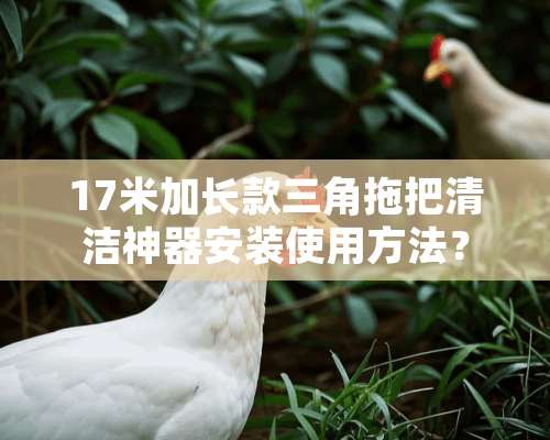 17米加长款三角拖把清洁神器安装使用方法？