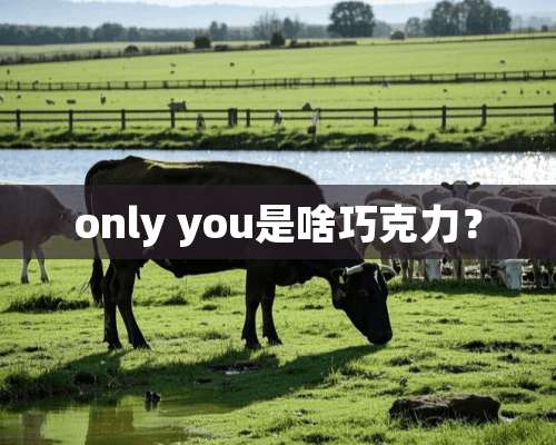 only you是啥巧克力？