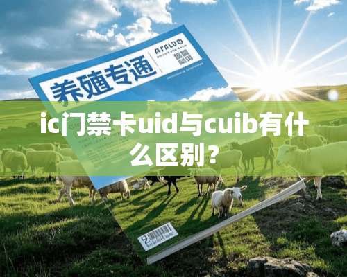 ic门禁卡uid与cuib有什么区别？