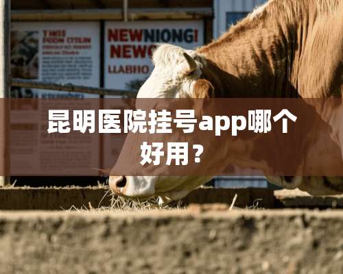 昆明医院挂号app哪个好用？