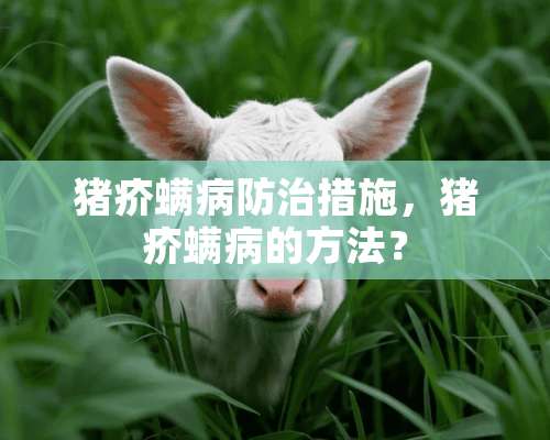 猪疥螨病防治措施，猪疥螨病的方法？