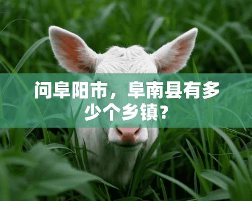 问阜阳市，阜南县有多少个乡镇？