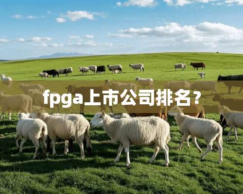 fpga上市公司排名？