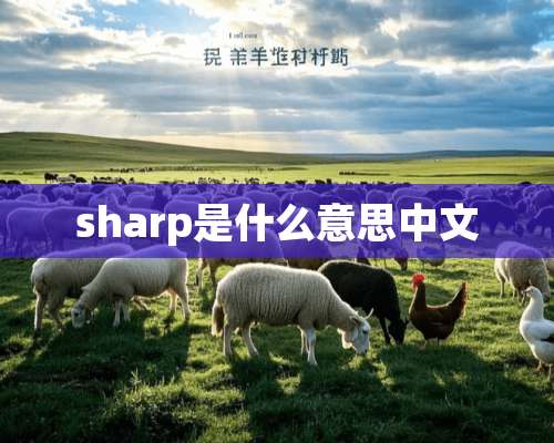 sharp是什么意思中文