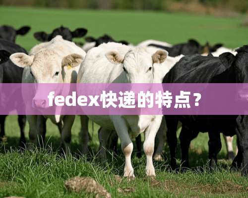 fedex快递的特点？