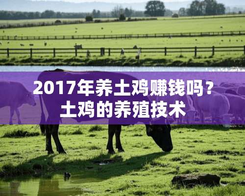 2017年养土鸡赚钱吗？土鸡的养殖技术