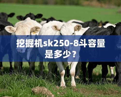 挖掘机sk250-8斗容量是多少？