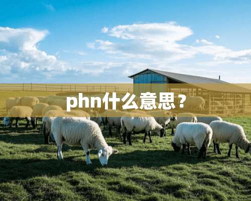 phn什么意思？