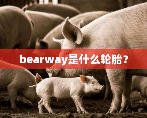 bearway是什么轮胎？