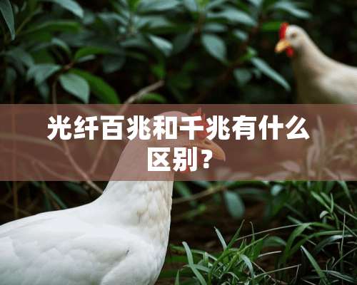 光纤百兆和千兆有什么区别？