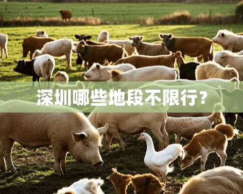 深圳哪些地段不限行？