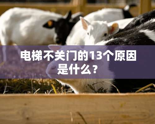 电梯不关门的13个原因是什么？