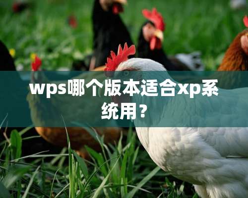 wps哪个版本适合xp系统用？