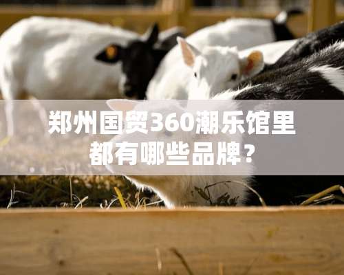 郑州国贸360潮乐馆里都有哪些品牌？