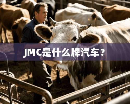 JMC是什么牌汽车？